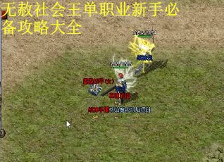 无赦社会王单职业新手必备攻略大全