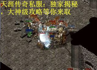 天涯传奇私服：独家揭秘，大神级攻略等你来取