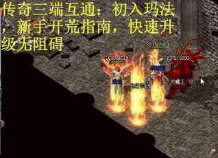 传奇三端互通：初入玛法，新手开荒指南，快速升级无阻碍