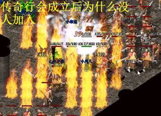 传奇行会成立后为什么没人加入