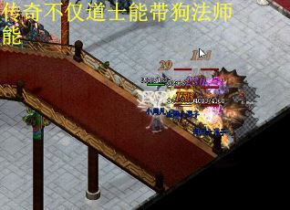 传奇不仅道士能带狗法师能