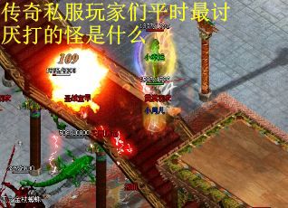 传奇私服玩家们平时最讨厌打的怪是什么