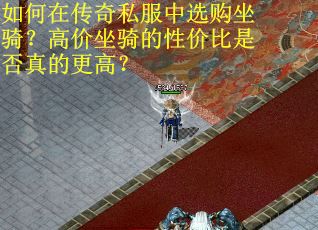 如何在传奇私服中选购坐骑？高价坐骑的性价比是否真的更高？