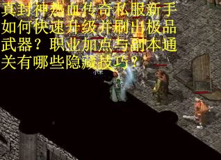 真封神热血传奇私服新手如何快速升级并刷出极品武器？职业加点与副本通关有哪些隐藏技巧？