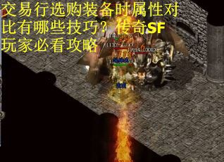 交易行选购装备时属性对比有哪些技巧？传奇SF玩家必看攻略