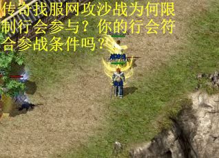 传奇找服网攻沙战为何限制行会参与？你的行会符合参战条件吗？