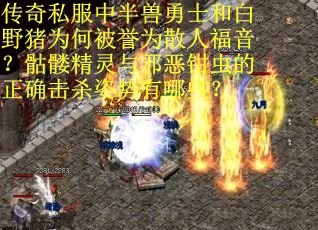 传奇私服中半兽勇士和白野猪为何被誉为散人福音？骷髅精灵与邪恶钳虫的正确击杀姿势有哪些？