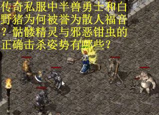 传奇私服中半兽勇士和白野猪为何被誉为散人福音？骷髅精灵与邪恶钳虫的正确击杀姿势有哪些？