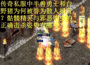 传奇私服中半兽勇士和白野猪为何被誉为散人福音？骷髅精灵与邪恶钳虫的正确击杀姿势有哪些？