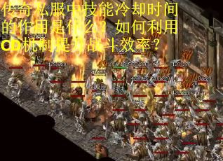 传奇私服中技能冷却时间的作用是什么？如何利用CD机制提升战斗效率？