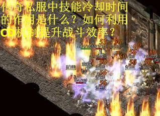 传奇私服中技能冷却时间的作用是什么？如何利用CD机制提升战斗效率？