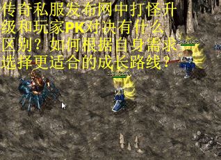 传奇私服发布网中打怪升级和玩家PK对决有什么区别？如何根据自身需求选择更适合的成长路线？
