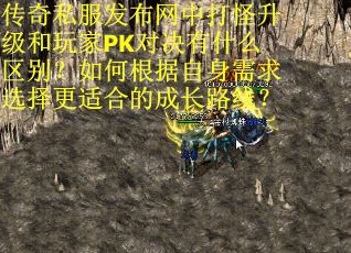 传奇私服发布网中打怪升级和玩家PK对决有什么区别？如何根据自身需求选择更适合的成长路线？