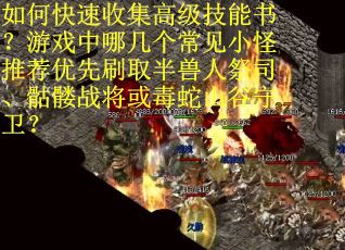 如何快速收集高级技能书？游戏中哪几个常见小怪推荐优先刷取半兽人祭司、骷髅战将或毒蛇山谷守卫？