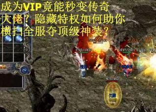 成为VIP竟能秒变传奇大佬？隐藏特权如何助你横扫全服夺顶级神装？