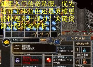 新手入门传奇私服，优先培养主体角色还是英雄更能快速提升战力？关键资源分配策略解析