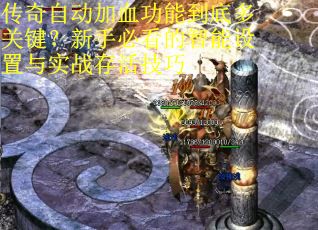 传奇自动加血功能到底多关键？新手必看的智能设置与实战存活技巧