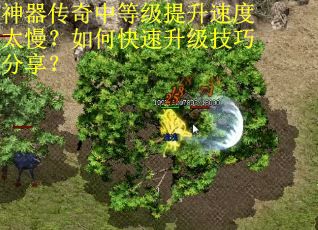 神器传奇中等级提升速度太慢？如何快速升级技巧分享？