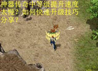 神器传奇中等级提升速度太慢？如何快速升级技巧分享？