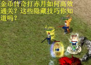 金币传奇打赤月如何高效通关？这些隐藏技巧你知道吗？
