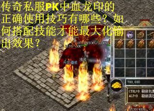 传奇私服PK中血龙印的正确使用技巧有哪些？如何搭配技能才能最大化输出效果？