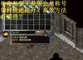 传奇私服无赦版会员称号如何快速提升？高效方法有哪些？