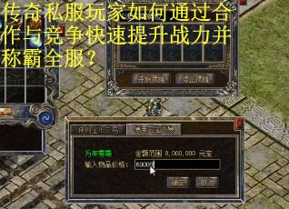 传奇私服玩家如何通过合作与竞争快速提升战力并称霸全服？