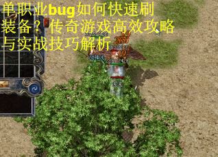 单职业bug如何快速刷装备？传奇游戏高效攻略与实战技巧解析