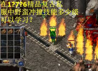 在1?7?6精品复古私服中野蛮冲撞技能多少级可以学习？