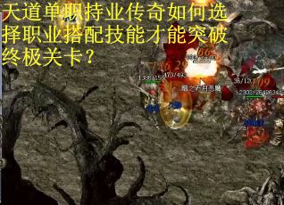 天道单职持业传奇如何选择职业搭配技能才能突破终极关卡？