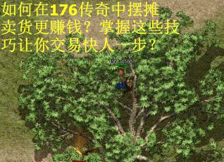 如何在176传奇中摆摊卖货更赚钱？掌握这些技巧让你交易快人一步？