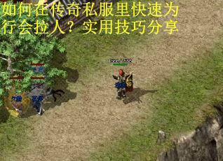 如何在传奇私服里快速为行会拉人？实用技巧分享