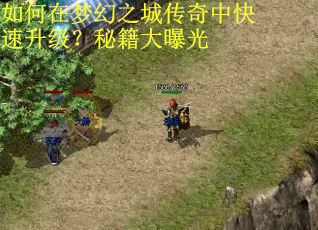 如何在梦幻之城传奇中快速升级？秘籍大曝光