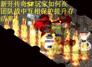 新开传奇SF玩家如何在团队战中互相保护提升存活率？