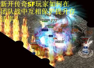 新开传奇SF玩家如何在团队战中互相保护提升存活率？