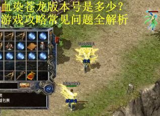 血染苍龙版本号是多少？游戏攻略常见问题全解析