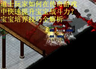 道士玩家如何在传奇游戏中快速提升宝宝战斗力？宝宝培养技巧全解析