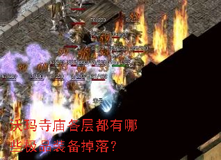 㶼ЩƷװ䣿