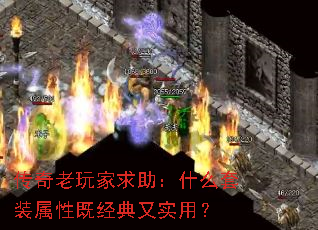 ʲôװԼȾʵã