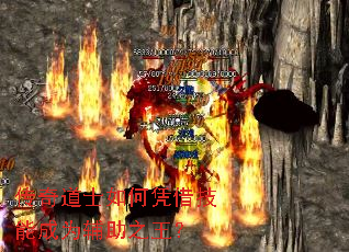ʿƾ輼ܳΪ֮