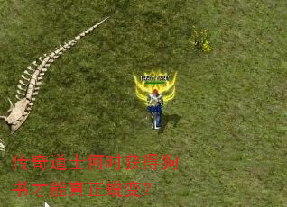 ʿʱùɱ䣿