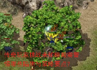 սδ֪辯ЩҪ㣿