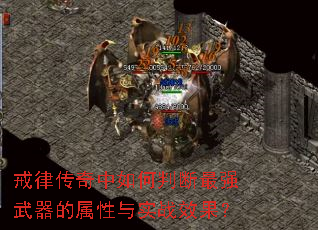ɴжǿʵսЧ