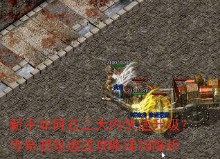 ڿϷٳɹϸ