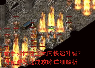 ڿϷٳɹϸ