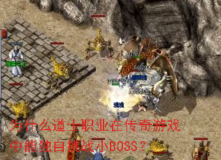 ΪʲôʿְҵڴϷܶսСBOSS