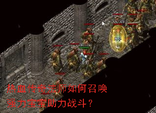 Ѫ淨ʦٻǿս
