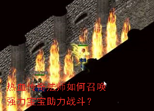 Ѫ淨ʦٻǿս