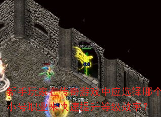 ڴϷӦѡĸСְҵȼЧʣ