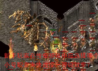ڴϷӦѡĸСְҵȼЧʣ